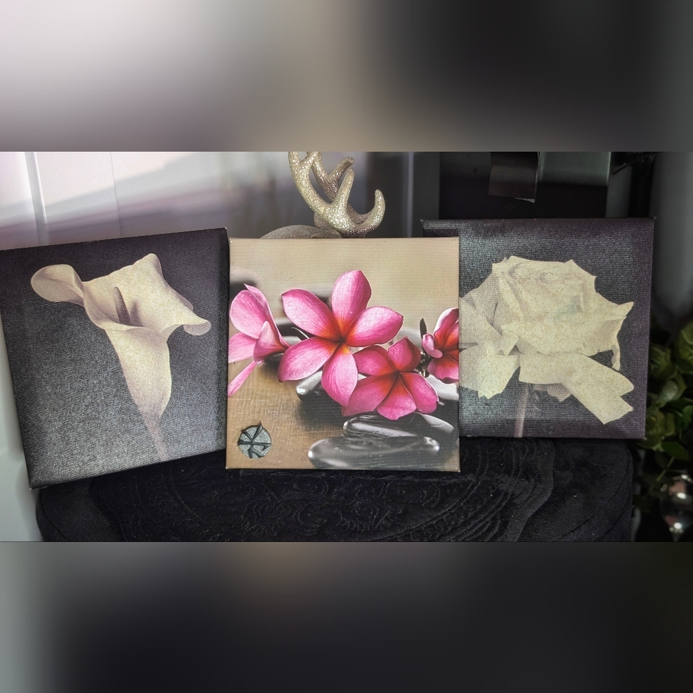 Floral Canvas Art 3pcs *Flaw Listed*